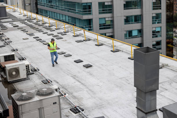 Best Skylight Installation and Repair  in Lansing, KS