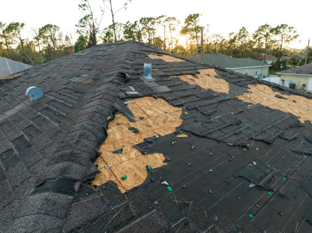 Best Roof Coating and Sealing  in Lansing, KS